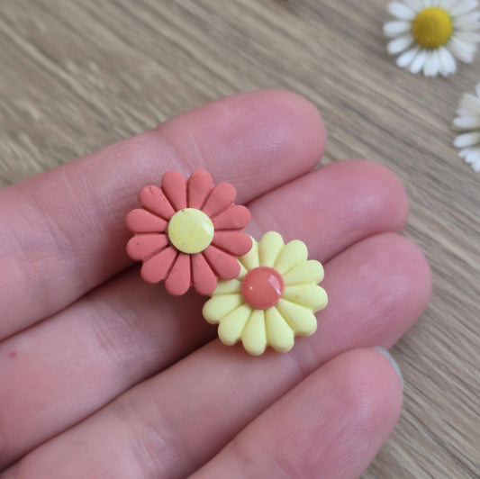 Corail & Vanille