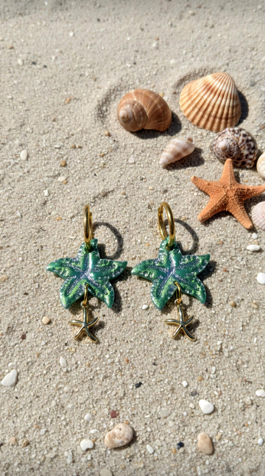 Étoile de Mer